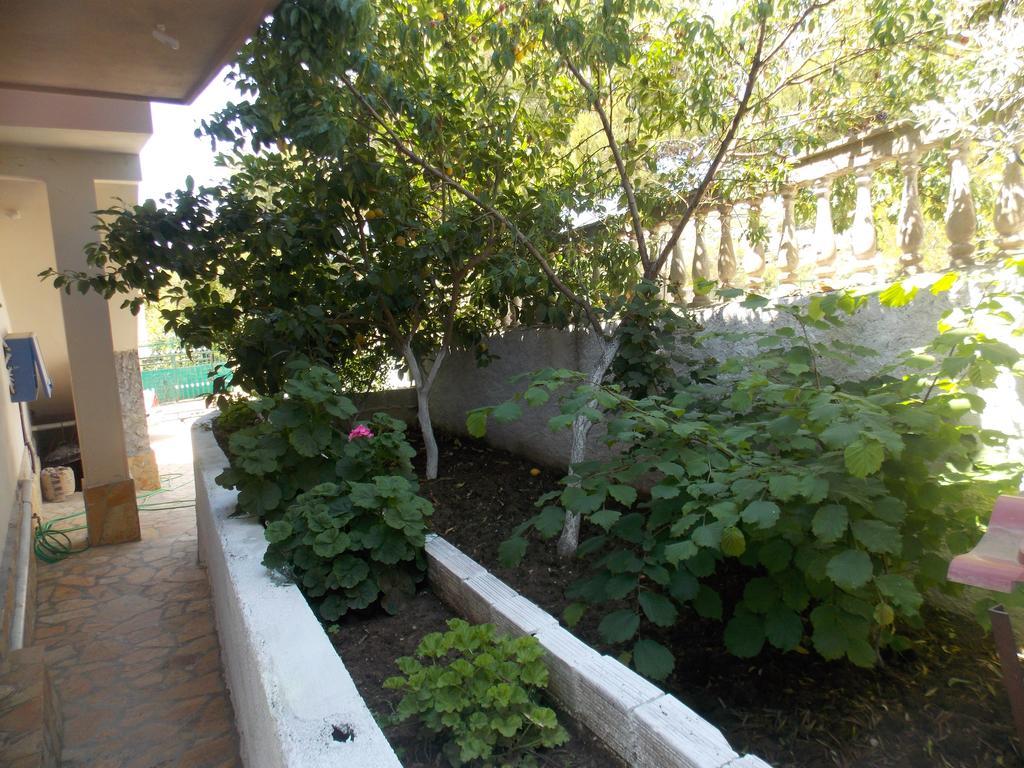 Guest House Vila Bega Saranda Zewnętrze zdjęcie